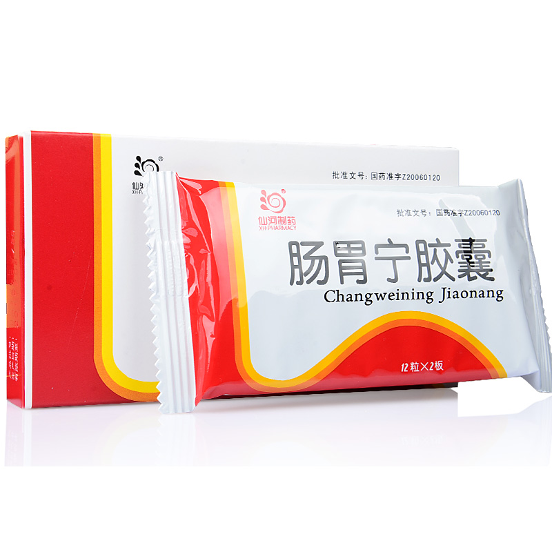 仙河制药 肠胃宁胶囊 0.3克×24粒/盒